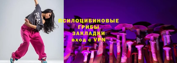 стафф Алзамай