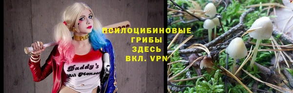 круглые Алексин