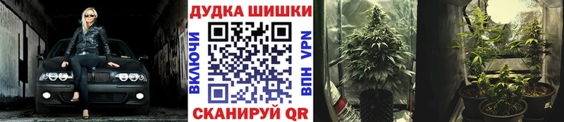 Конопля план  блэк спрут ССЫЛКА  Соликамск 
